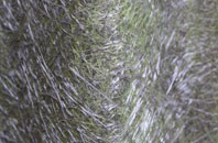 Llaniestyn fibreglass roof work